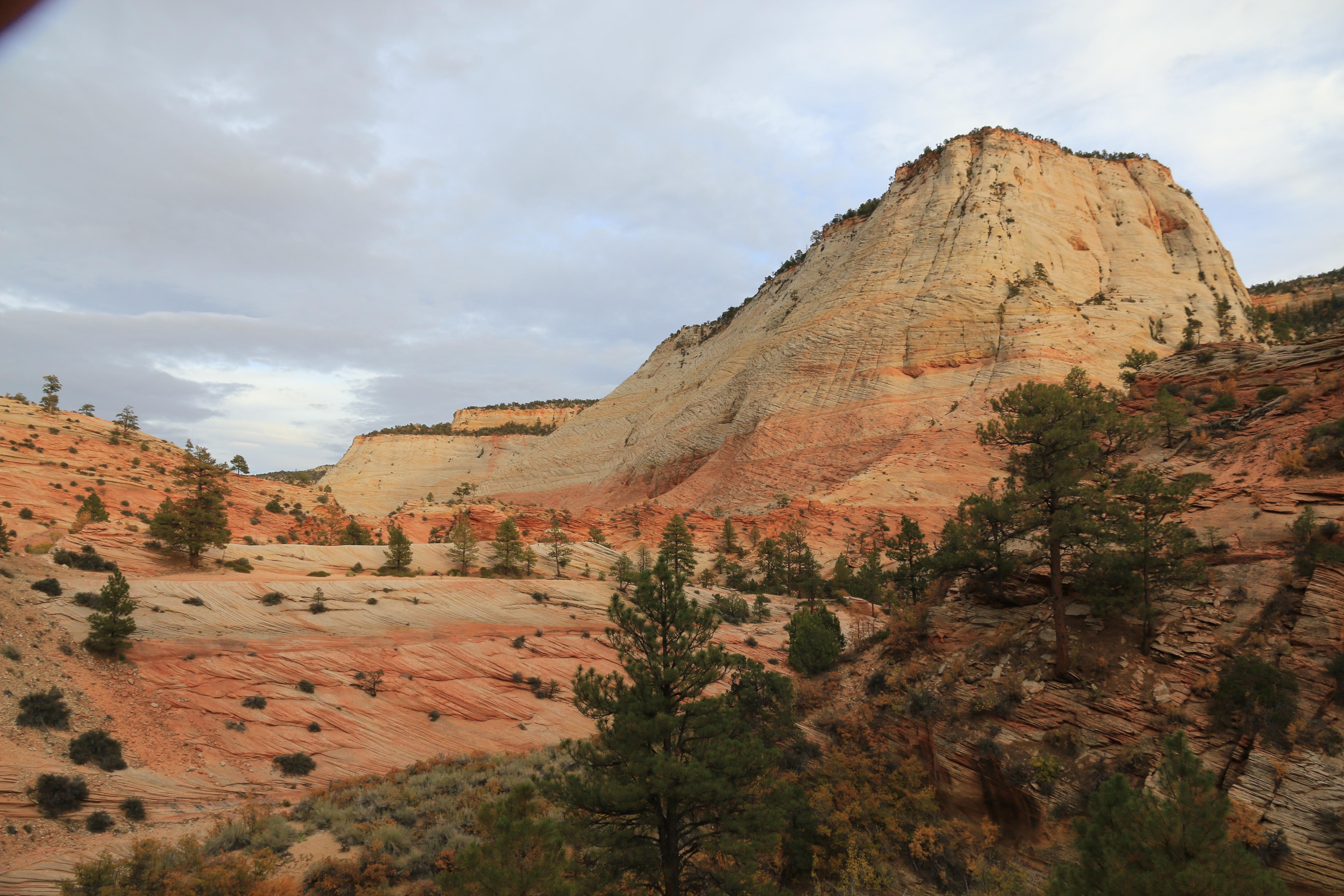 Zion NP